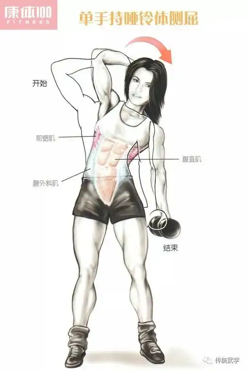 史上最全的腹肌训练动作图解22张图完全看懂腹肌训练