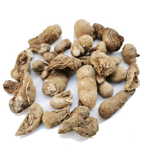 野生水田七中药材500克水三七水狗仔水虾公屈头鸡青鱼胆草新货