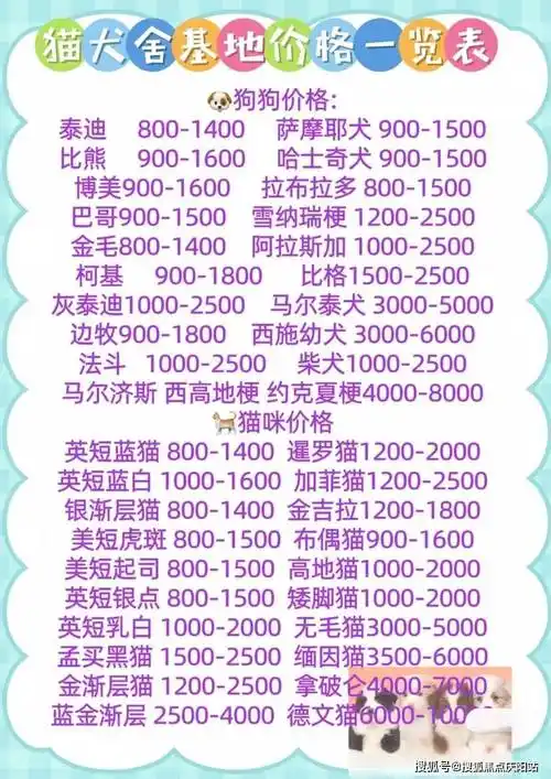 太原买博美幼犬首页网站丨太原杏花岭区哪里可以买到博美幼犬