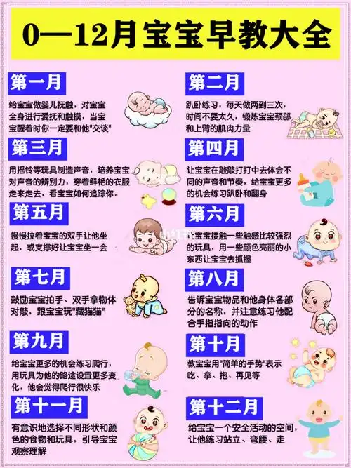 婴幼儿012每月早教大全开发大脑发育