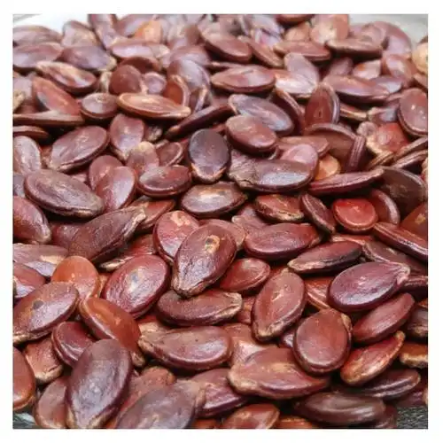 江西信丰红瓜子西瓜籽大粒散装农家新鲜炒熟原味生的年货推荐卡其色