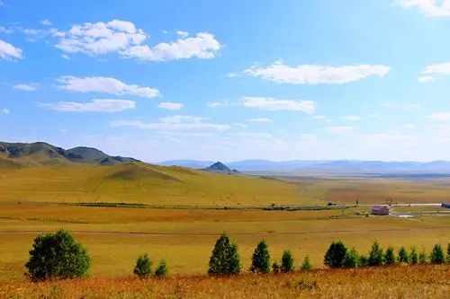 蓝天白云,风景秀丽,尽显坝上草原的迷人风光