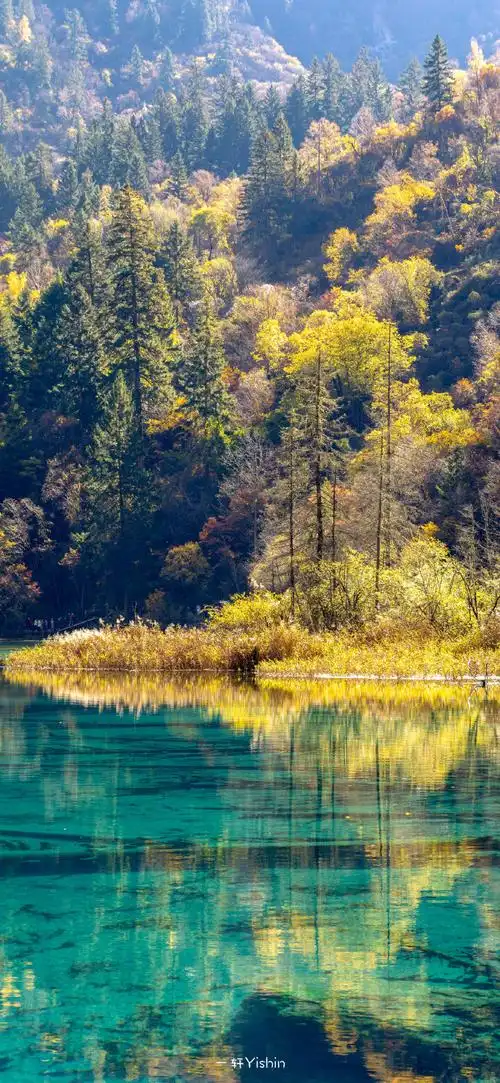 秋天的九寨沟是色彩的交点