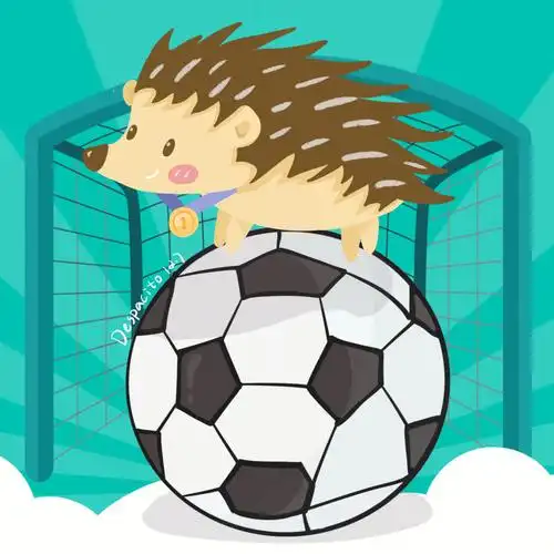 休赛期聊一聊小红书足球竞猜刺猬换头像啦