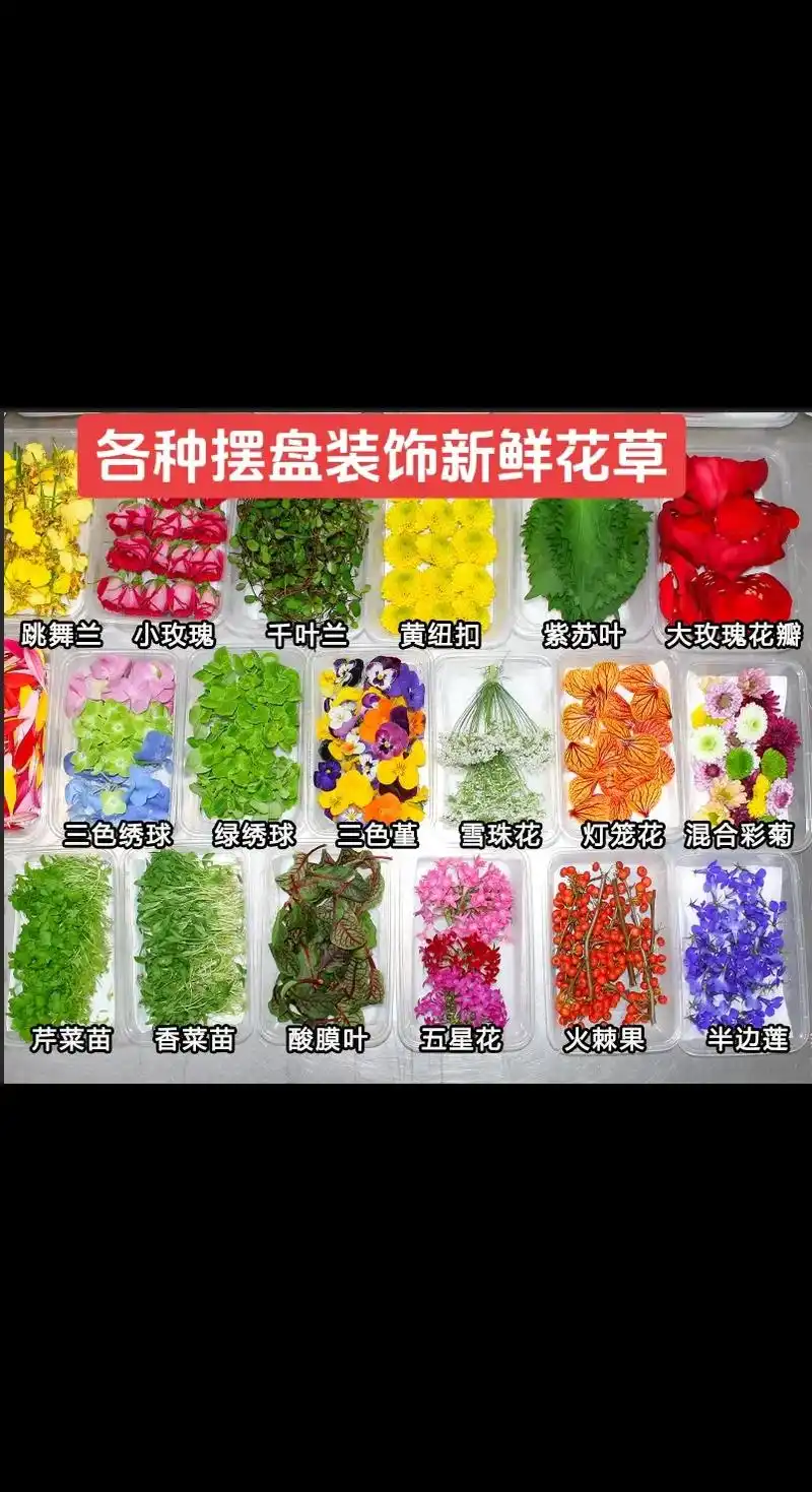 摆盘花草 #日料摆盘 各类摆盘装饰的新鲜花草,每天都是新鲜 - 抖音