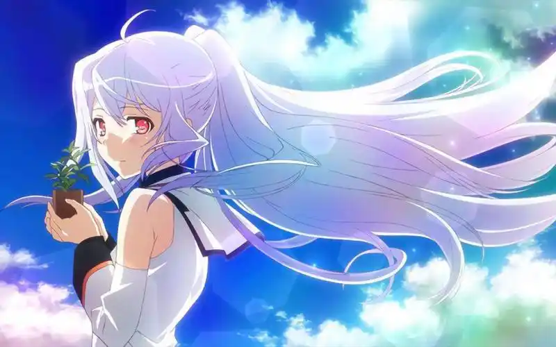 『可塑性记忆—艾拉』爱意随风起,风止意难平_哔哩哔哩_bilibili