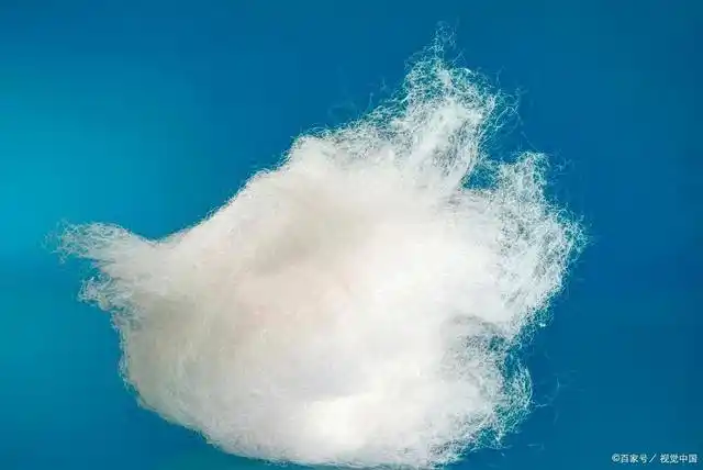 棉纤维是一种天然纤维