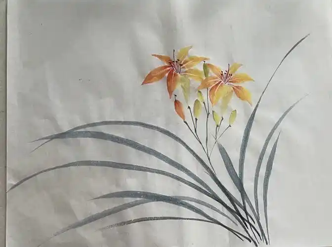 国画打卡27萱草花