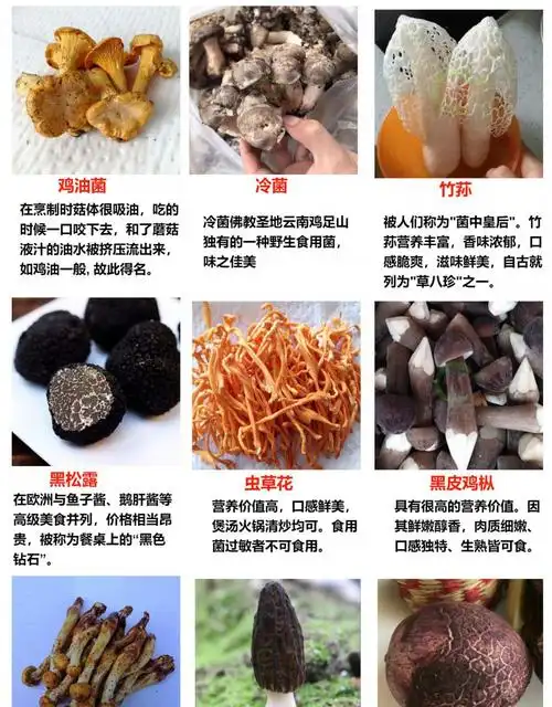 0kg店铺:十里馋食品旗舰店商品编号:10055331204833商品名称:现货新鲜