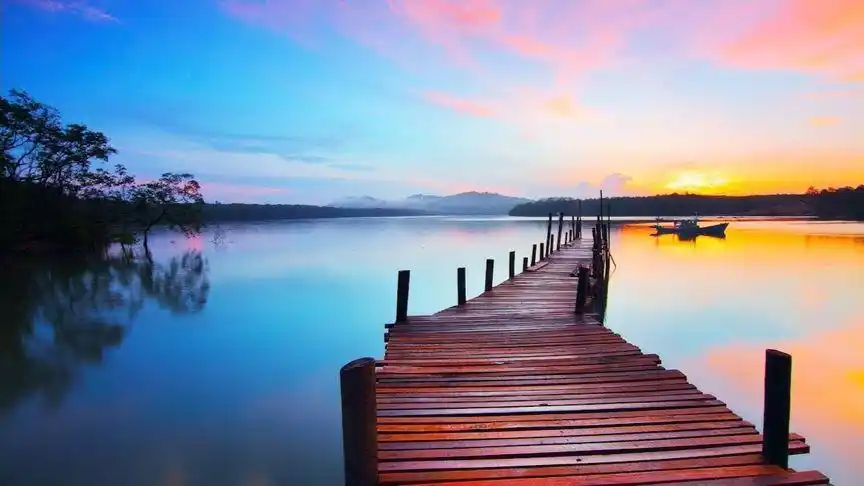 蝴蝶静听:舒心解压钢琴曲和美丽的大自然风景欣赏