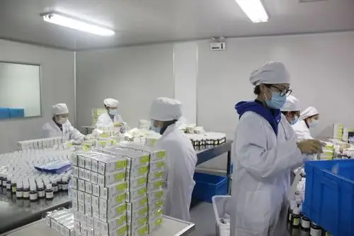 经过专业培训后也积极投身一线,从事药品包装等工作,助力防疫药品生产