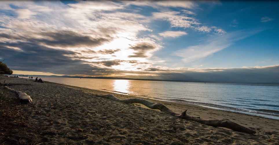 本作品是一款海边日出景观的4k实拍视频素材,朝阳,云彩,枯木的静态