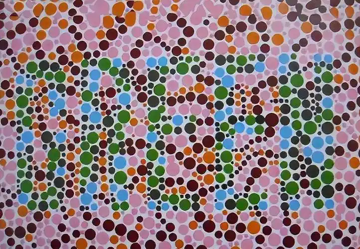 驾考"色盲检测图"曝光,看不清图3中的"单词",或与驾照无缘