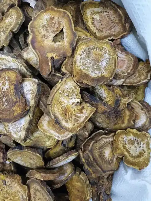 在哪里呆了小半天,发个大黄#药房用药  #品质药材  #中药饮片  从事