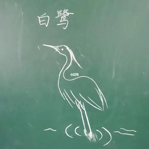 白鹭粉笔画简笔画板书