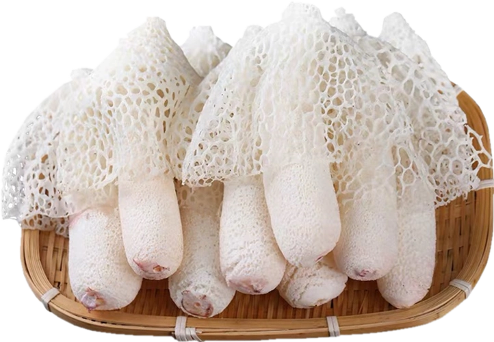 经得住检验的竹荪才是真正的好竹荪