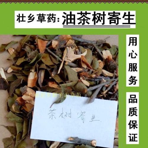 壮乡野生油茶树寄生 茶子树寄生 茶树寄生 茶仔树寄生 切段干品