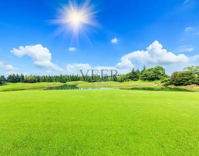 蓝天下绿草照片摄影图片