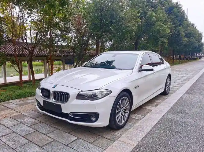 宝马 宝马5系 2014款 525li 豪华设计套装图片