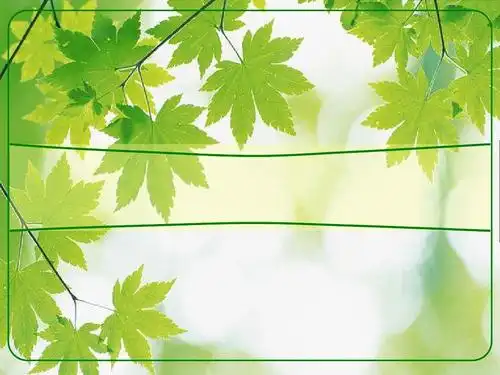 清新绿色枫叶背景ppt模板