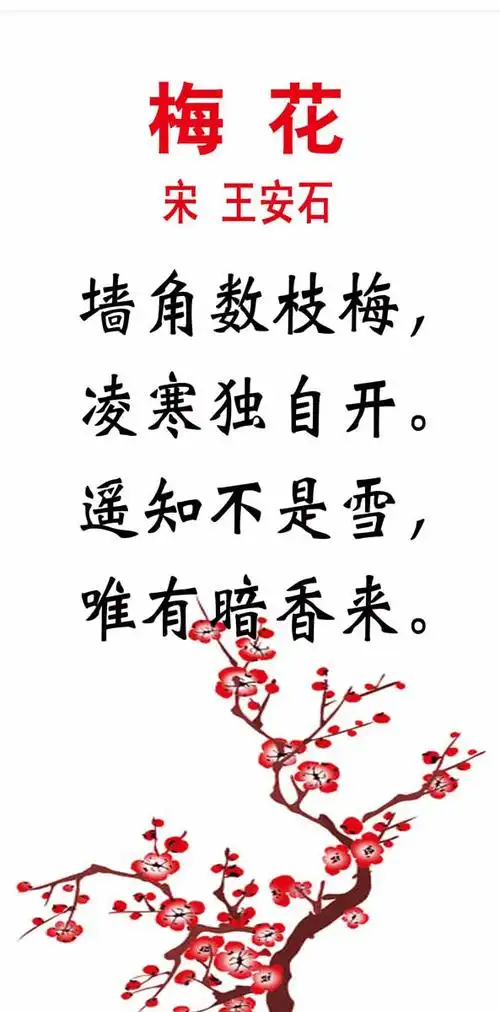 梅花诗句经典名句(梅花古诗的意思和解释)