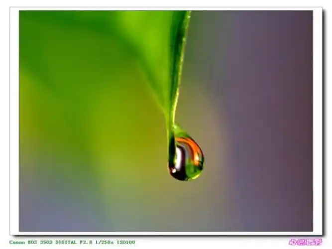 一滴水和一片海洋ppt课件ppt