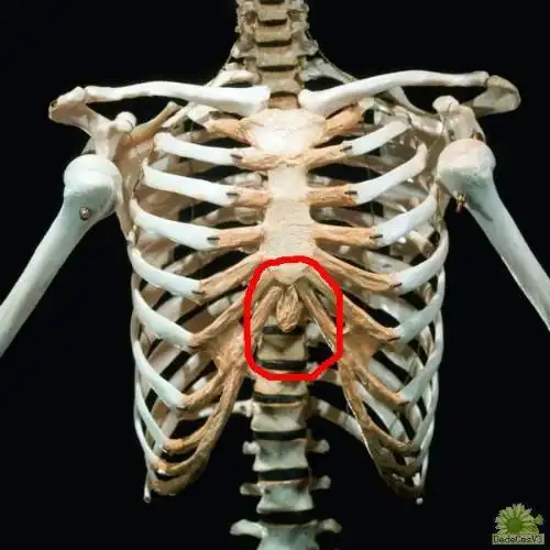 胸部正下方(两肋中间)用手压有一硬的肿块,按重些有轻微恶心的感觉.