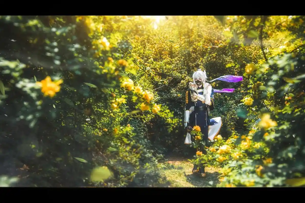 刀剑乱舞#鸣狐极化 - 抖音