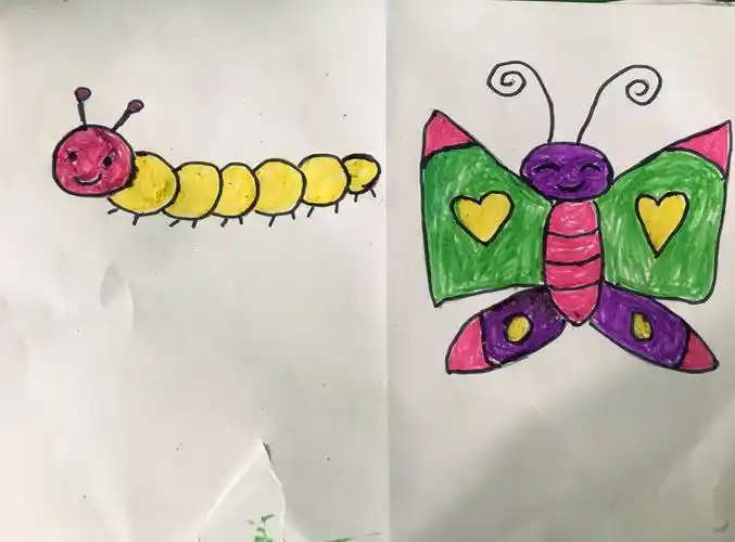 中班科学——毛毛虫变蝴蝶