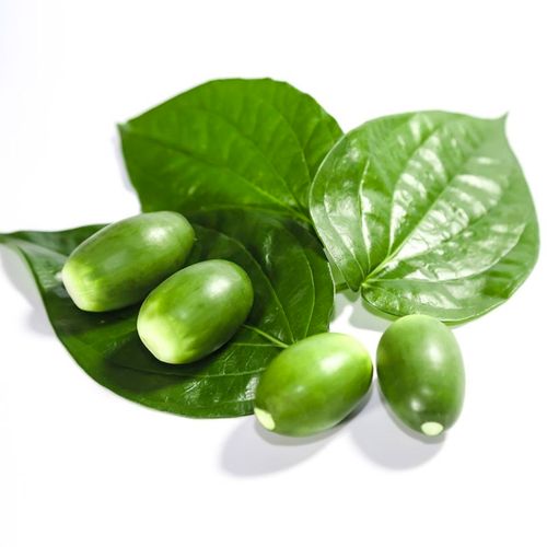 槟榔海南生果新鲜现摘100克散装青果配料包邮槟榔