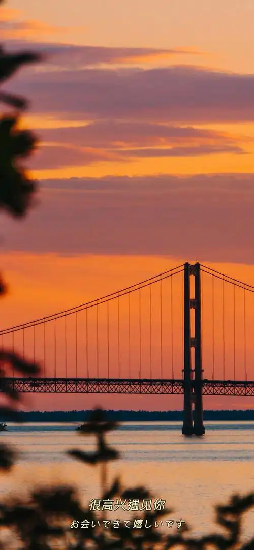 有哪些好看的全面屏手机壁纸或微信聊天背景图片? - 知乎