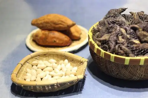 秋凉多食白洪湖菱角真好吃