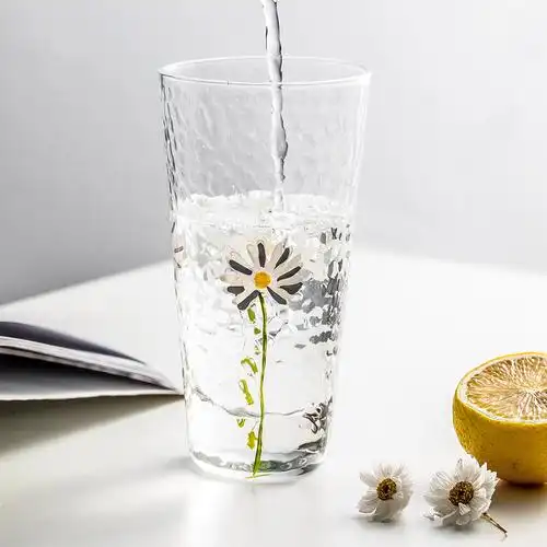 摩登主妇日式小雏菊玻璃杯创意喝水杯子耐热泡茶茶杯玻璃杯