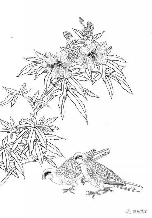 资料分享一组漂亮的工笔白描花鸟