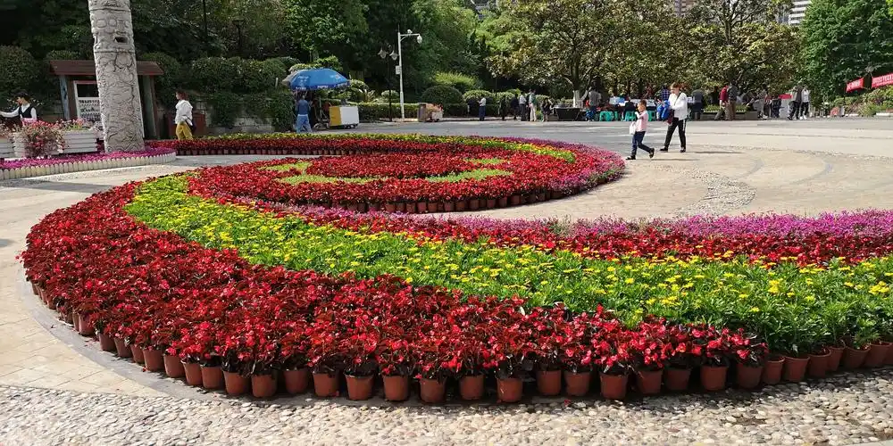 河滨公园花坛(4.30.