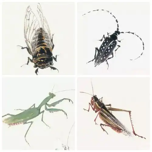 [百草园小学] 美术鉴赏:走近艺术大师—齐白石的草虫世界