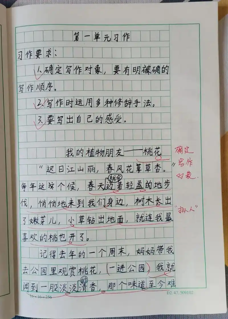 三年级下册语文 #作文 《我的植物朋友-桃花》 - 抖音