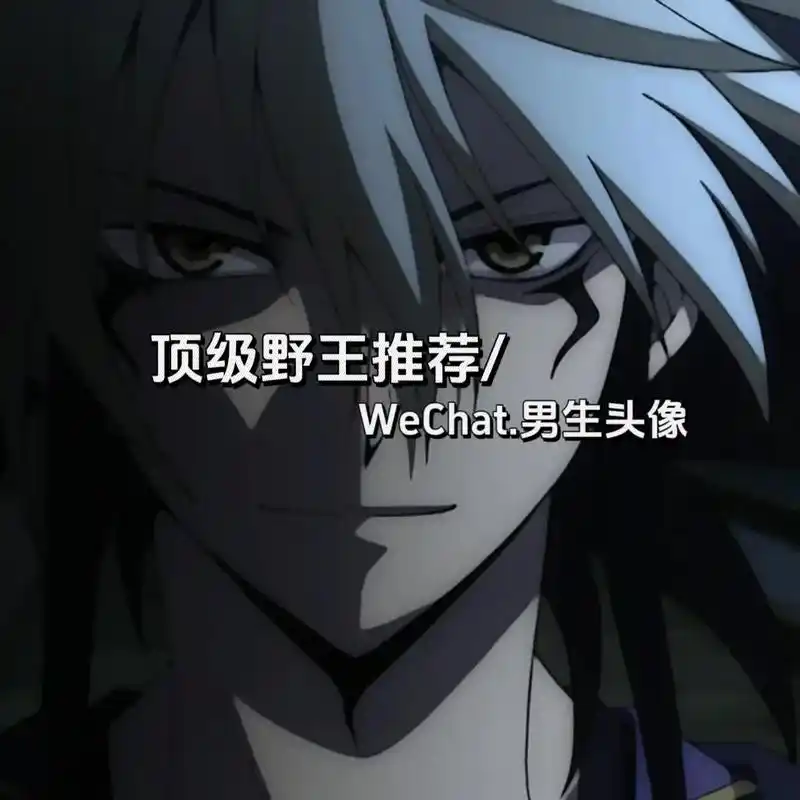野王"请签收"#高冷野王#巅峰前一百#动漫男头 #高质量头像 - 抖音
