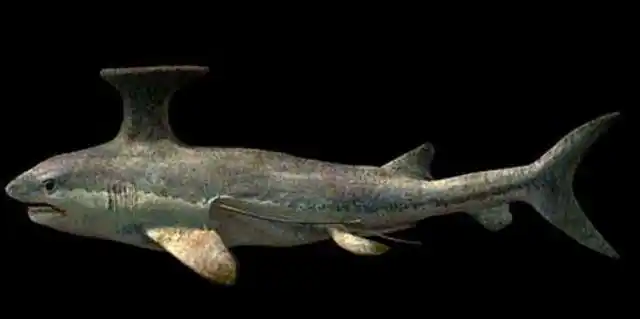 世界古生物2 志留纪