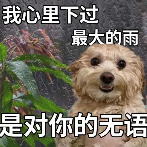 为什么长得丑的人有优先发言权?