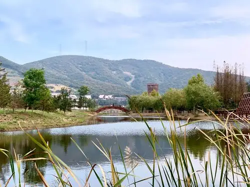 西郊森林公园一日游