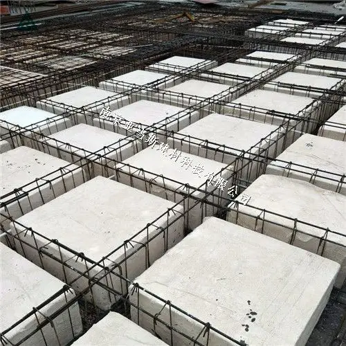 现浇钢筋混凝土密肋楼盖