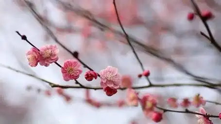 绝好的天然画布,会画出怎样的画儿