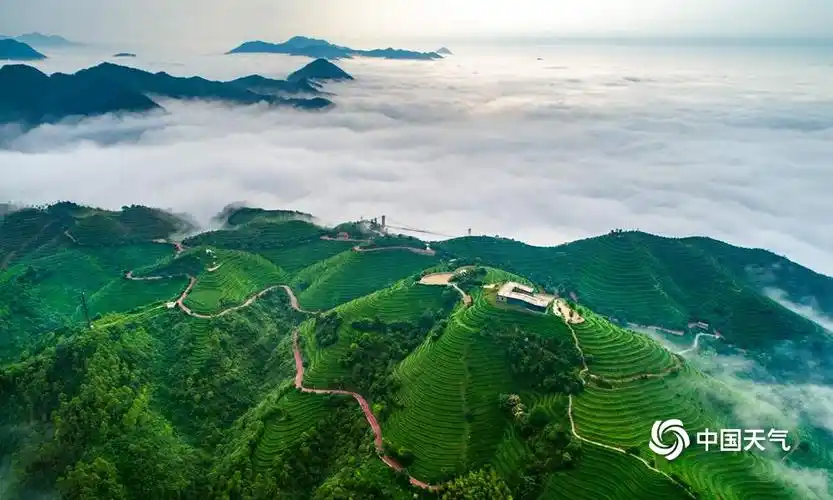 福建平和高峰谷出现云海奇观