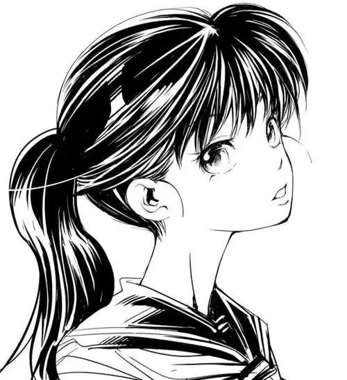 马尾马尾辫方图