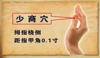 原创 网友分享    今天,给大家讲一讲手太阴肺经.