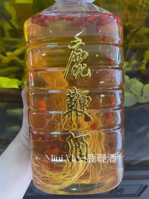 鹿鞭酒