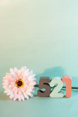 文艺数字520 521 1314