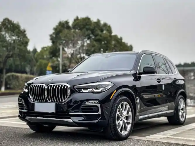 宝马 宝马x5  2020款 xdrive40i m运动套装图片