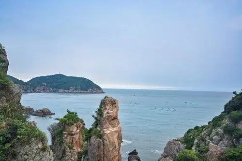 我梦见了紫色风,也吹不醒我看海的梦——温州洞头岛,苍南游记